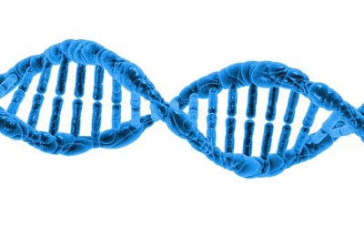 Oxygen Therapies the mitochondria DNA